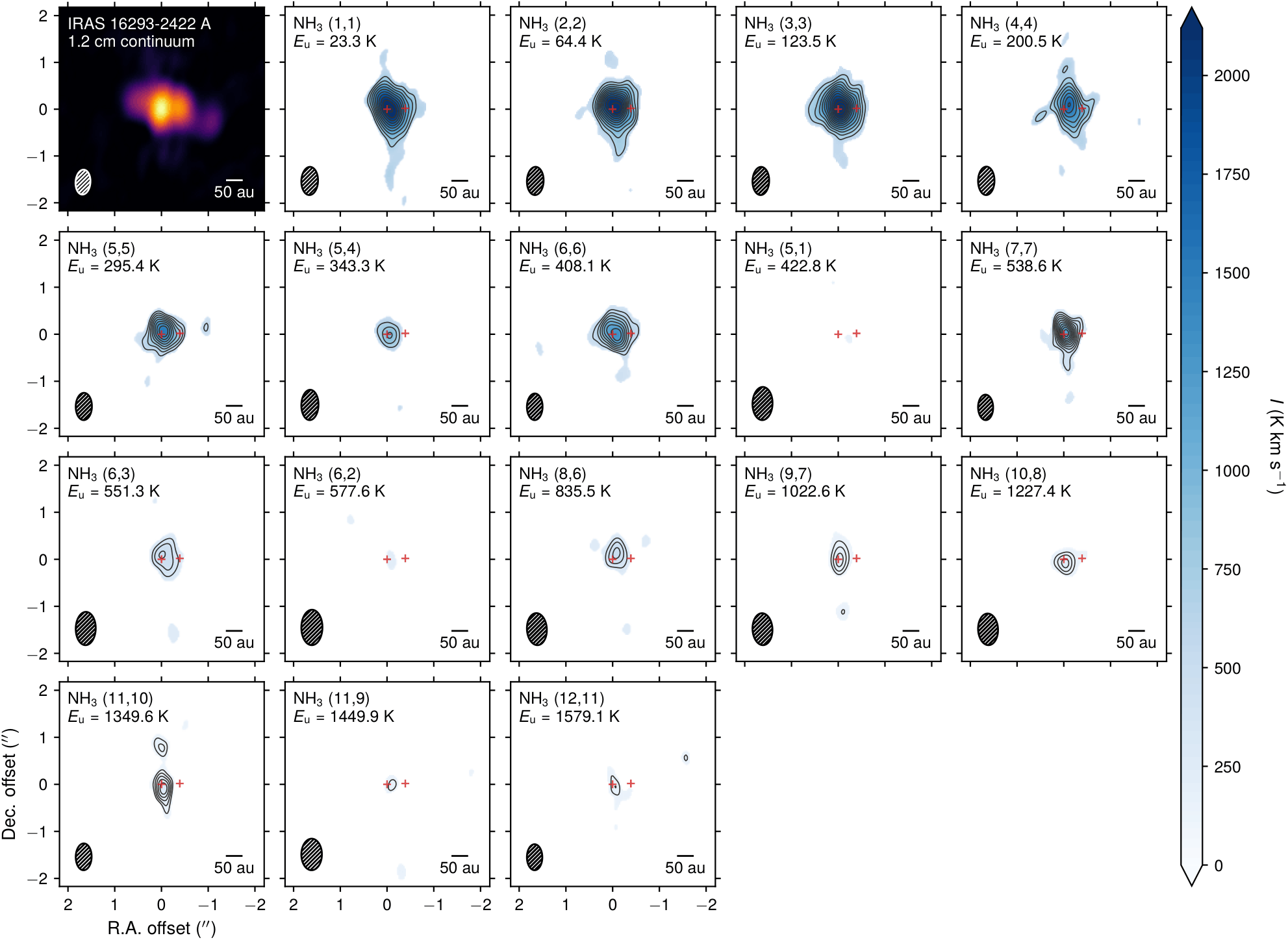Ammonia line emission in IRAS 16293-2422 A observed with the VLA